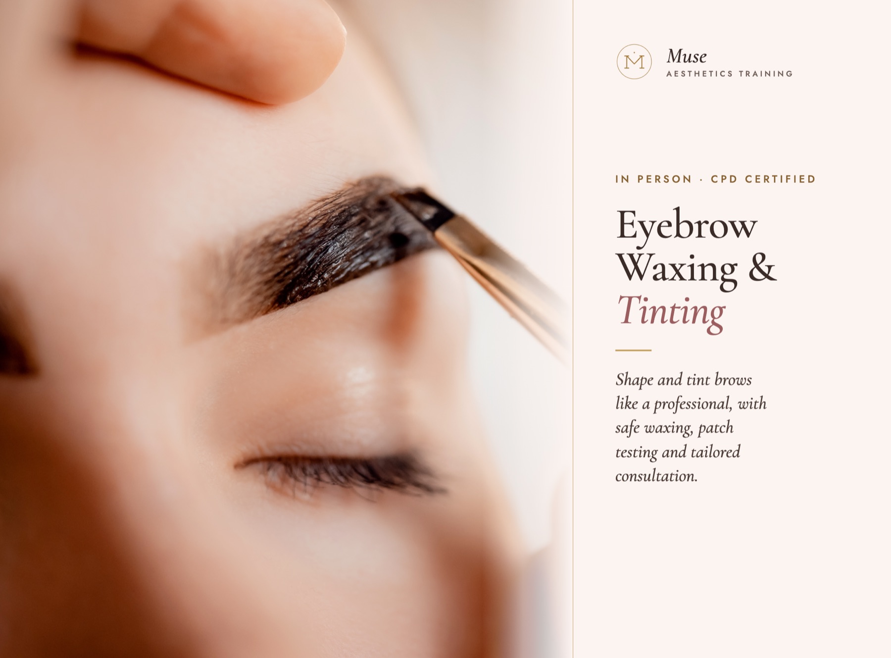 Eyebrow Waxing & Tinting