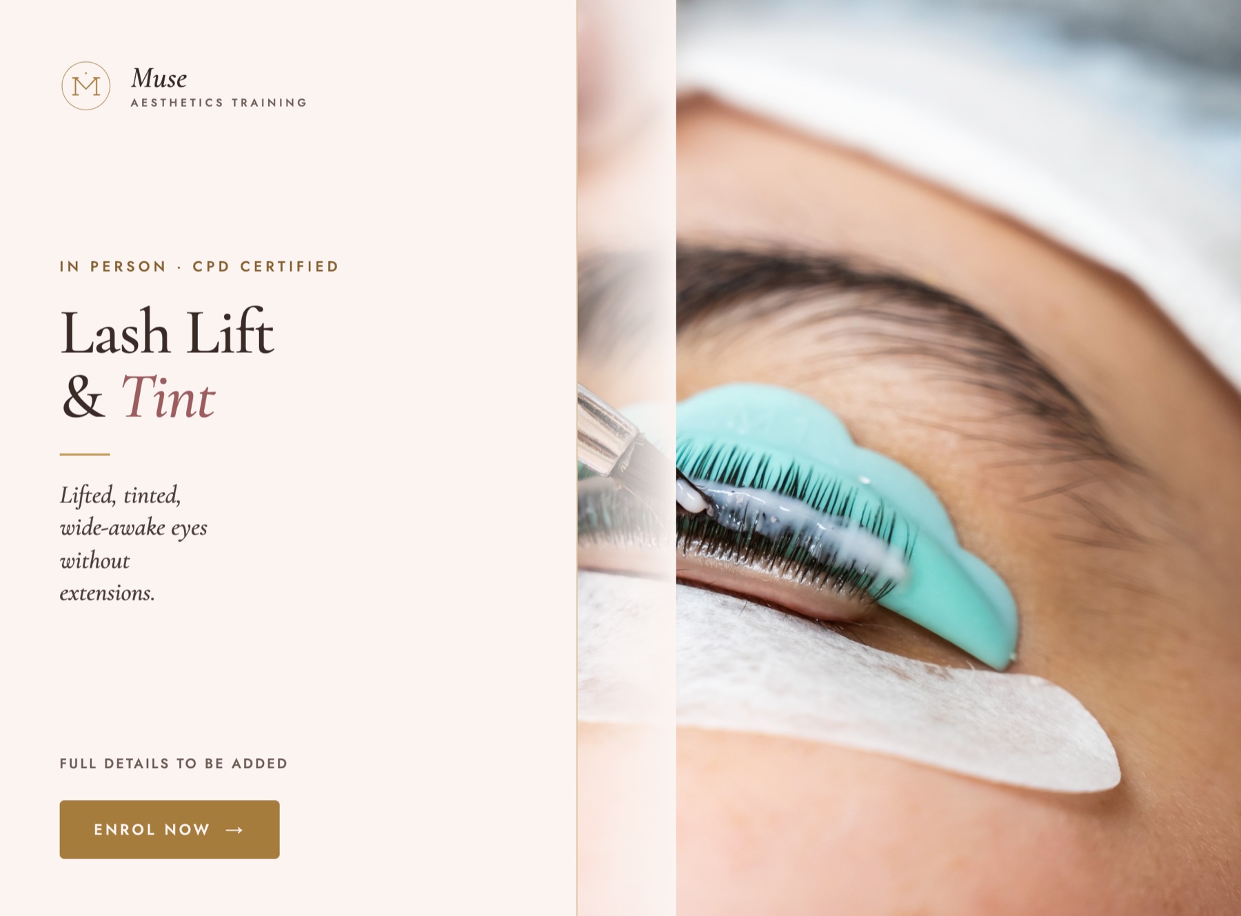 Lash Lift & Tint
